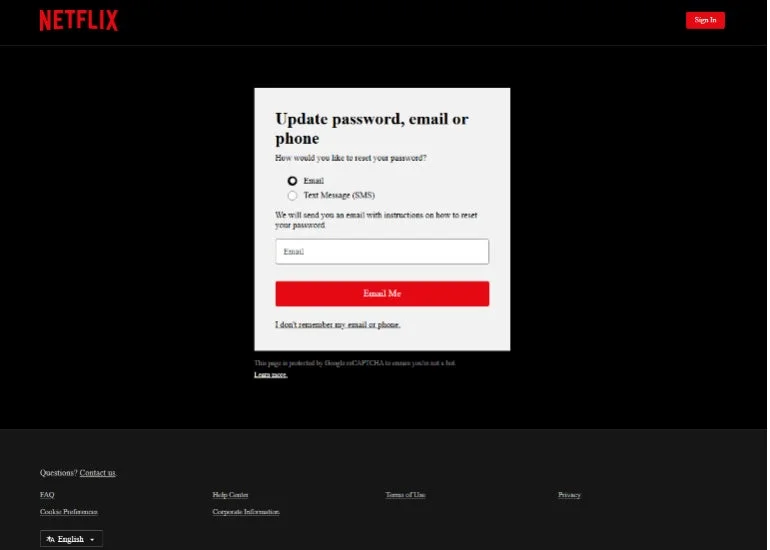 Netflixの偽パスワードリセットページ