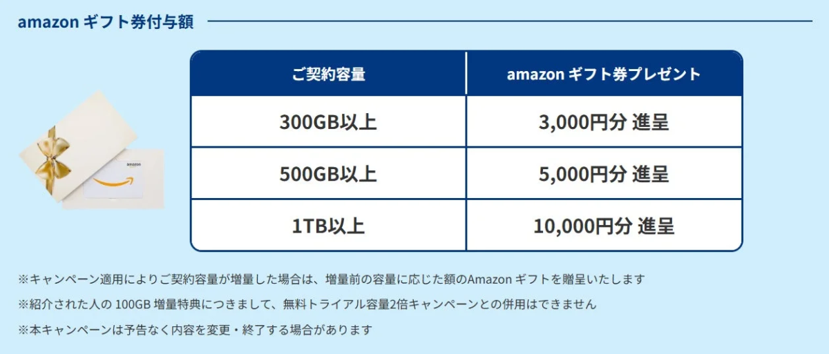 Amazonギフト券付与額